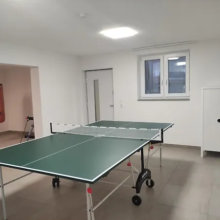 Modern Doppelhaus