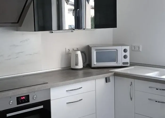 別荘 Modern Doppelhaus バウナタール